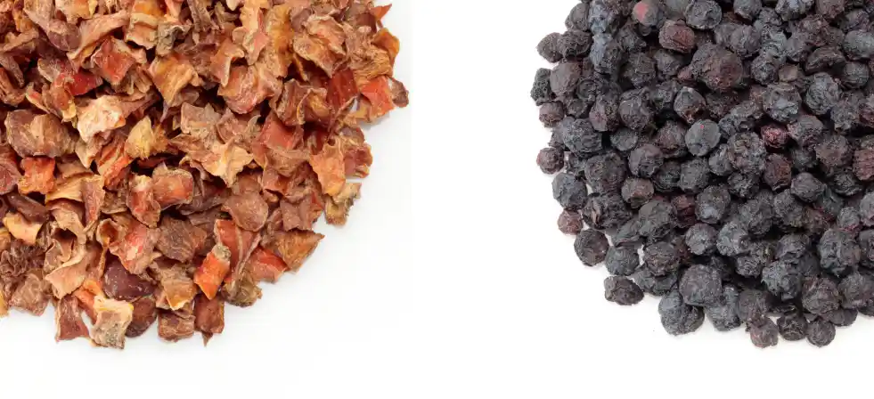 Pet Nutrition