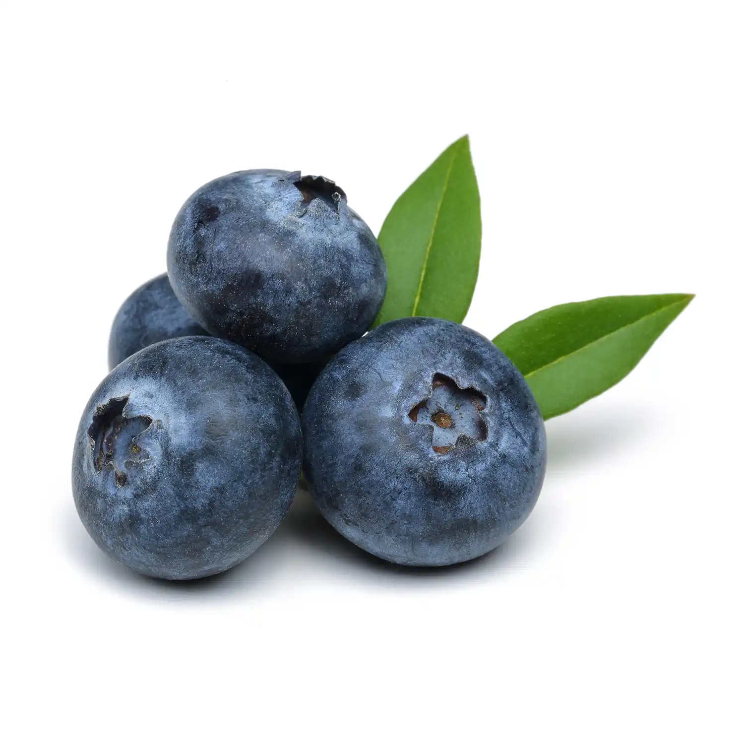 Blueberry